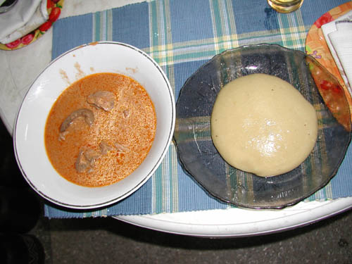 �K�[�i���s