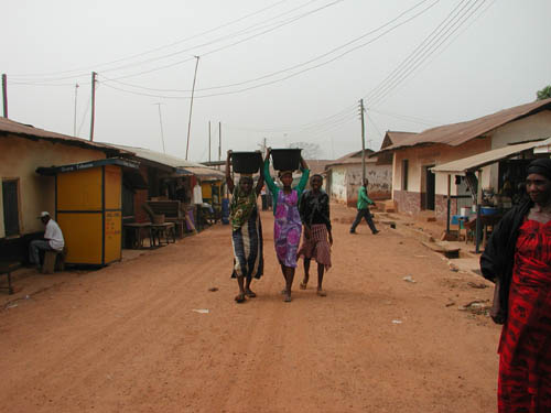 �K�[�i���s